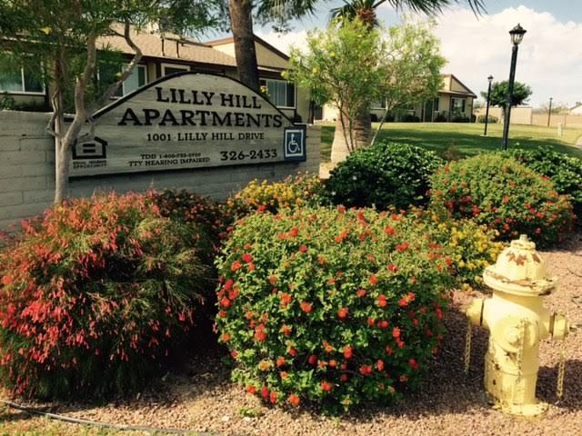 Lilly Hill Apartments - Needles, CA